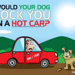 Mr. Locksmith Halifax - Would Your Dog Lock You in a Hot Car